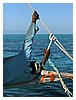zanzibar_fav (07).JPG