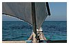zanzibar_fav (08).JPG