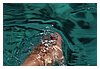 zanzibar_fav (09).JPG