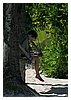 zanzibar_fav (11).JPG
