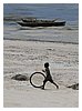 zanzibar_fav (20).JPG