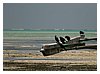 zanzibar_fav (22).JPG