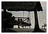 IMG_6829.JPG
