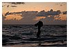IMG_6863.JPG