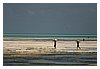 IMG_6983.JPG