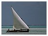 IMG_6953.JPG