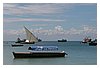 IMG_7178.JPG