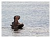 IMG_0557.JPG