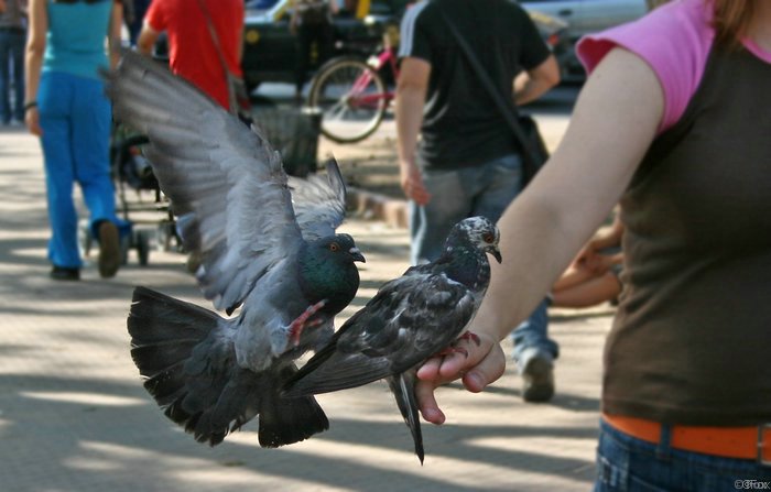 IMG_4620.JPG