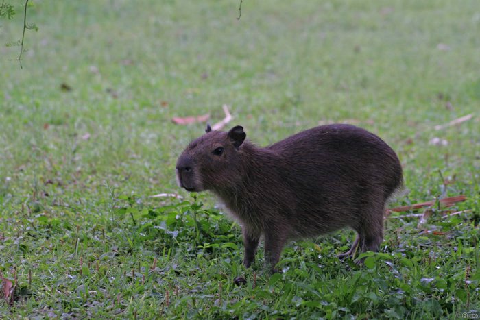 IMG_4688.JPG
