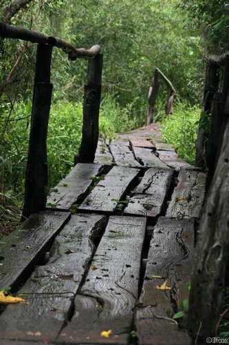 IMG_4693.JPG