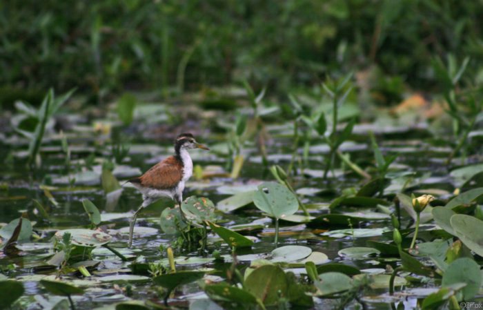 IMG_4792.JPG