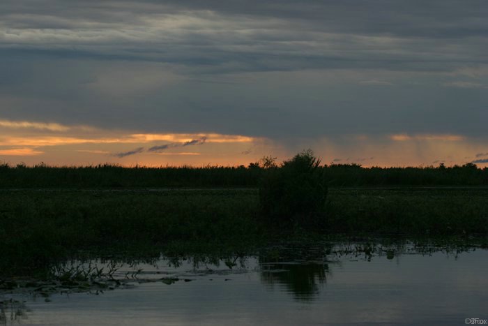 IMG_4802.JPG