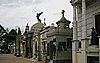 IMG_4645.JPG
