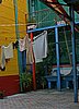IMG_4651.JPG