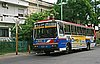 IMG_4666.JPG