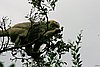IMG_4676.JPG
