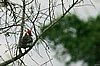 IMG_4682.JPG