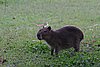 IMG_4688.JPG