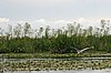 IMG_4709.JPG
