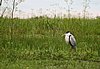 IMG_4713.JPG
