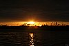 IMG_4815.JPG