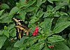IMG_4899.JPG