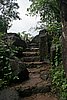 IMG_4903.JPG