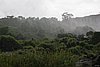 IMG_4922.JPG