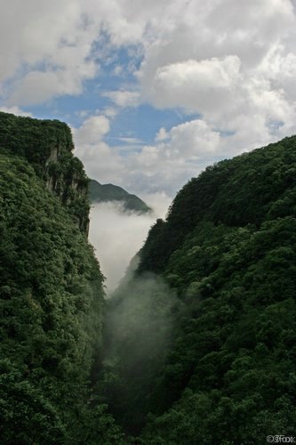 IMG_5038.JPG