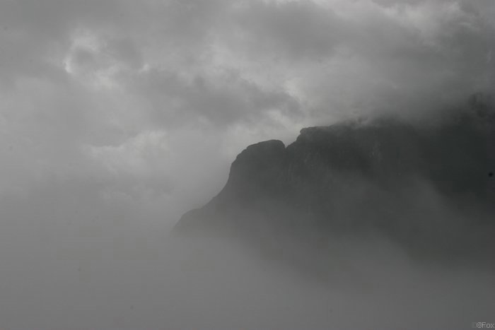 IMG_5055.JPG
