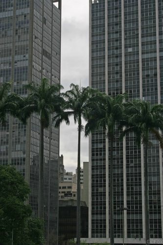 IMG_5321.JPG