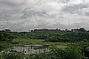 IMG_4990.JPG
