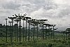 IMG_4994.JPG