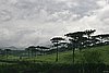 IMG_4995.JPG