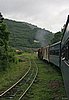 IMG_4998.JPG