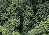 IMG_5007.JPG