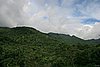 IMG_5023.JPG