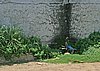 IMG_5087.JPG
