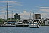 IMG_5101.JPG