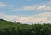 IMG_5114.JPG