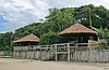 IMG_5119.JPG