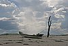 IMG_5123.JPG