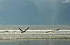 IMG_5127.JPG