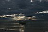 IMG_5146.JPG