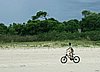 IMG_5153.JPG