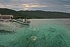 IMG_5157.JPG