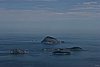 IMG_5229.JPG