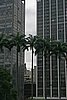 IMG_5321.JPG