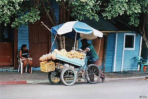 kariib_lavka1.jpg